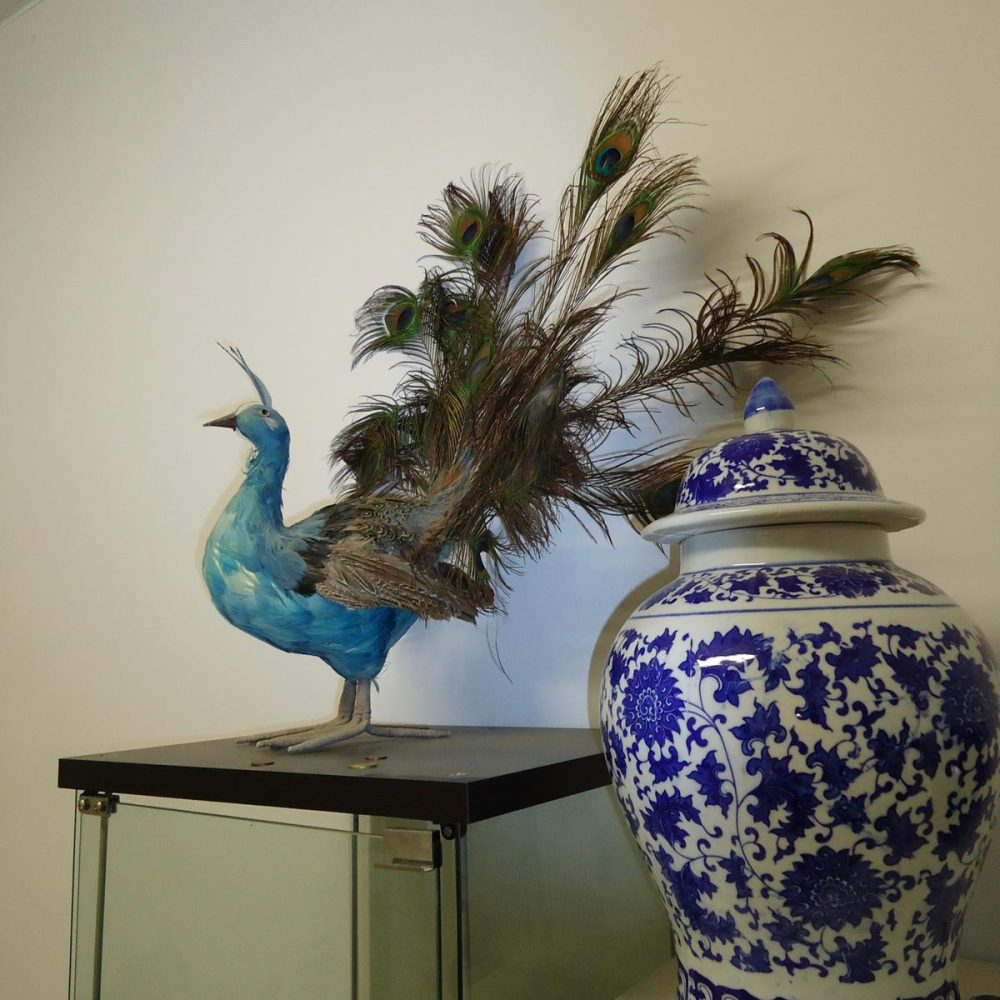 WhatsApp Image 2026-04-08 at 09.39.10 (4)